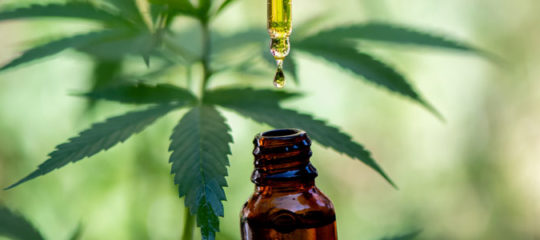 CBD